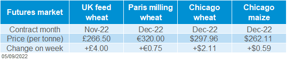 A table showing grain futures market movement.
